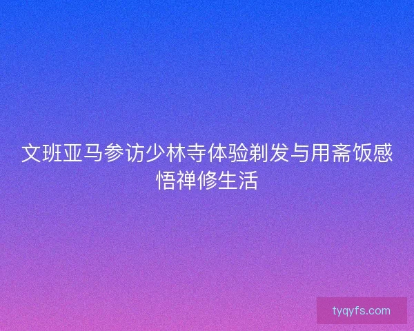 文班亚马参访少林寺体验剃发与用斋饭感悟禅修生活